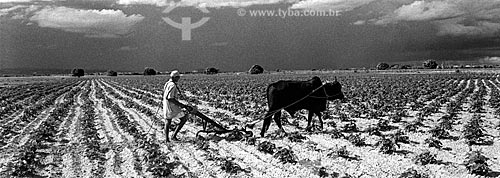  Homem arando plantação no interior do estado do Rio Grande do Norte  - Rio Grande do Norte (RN) - Brasil