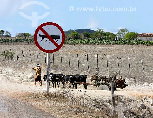  Homem conduzindo carro de boi próximo à estrada no interior do estado de Alagoas  - Alagoas (AL) - Brasil