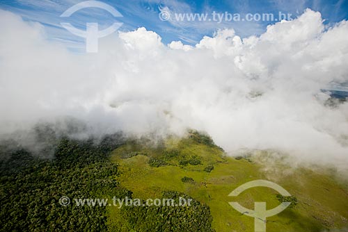  Foto aérea de área de vegetação do Campos de Cima da Serra  - Cambará do Sul - Rio Grande do Sul (RS) - Brasil