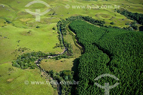  Foto aérea de área de reflorestamento usando o eucalipto no Campos de Cima da Serra  - Cambará do Sul - Rio Grande do Sul (RS) - Brasil