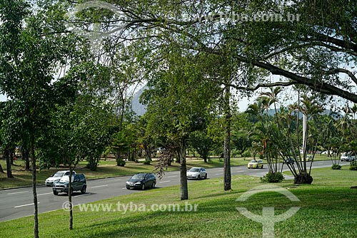  Vista da Avenida Infante Dom Henrique no Aterro do Flamengo  - Rio de Janeiro - Rio de Janeiro (RJ) - Brasil