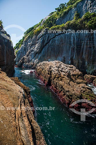  Costão das Ilhas Tijucas  - Rio de Janeiro - Rio de Janeiro (RJ) - Brasil