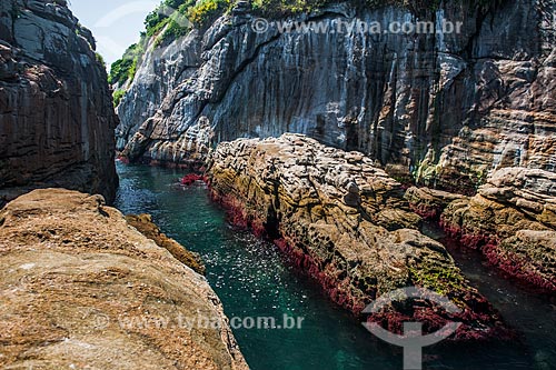  Costão das Ilhas Tijucas  - Rio de Janeiro - Rio de Janeiro (RJ) - Brasil