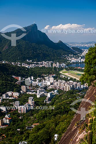 Vista do bairro da Gávea com o Cristo Redentor ao fundo a partir da trilha do Morro Dois Irmãos  - Rio de Janeiro - Rio de Janeiro (RJ) - Brasil