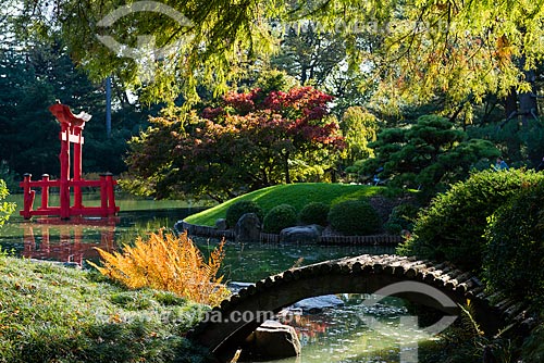 Jardim japonês no Prospect Park  - Cidade de Nova Iorque - Nova Iorque - Estados Unidos