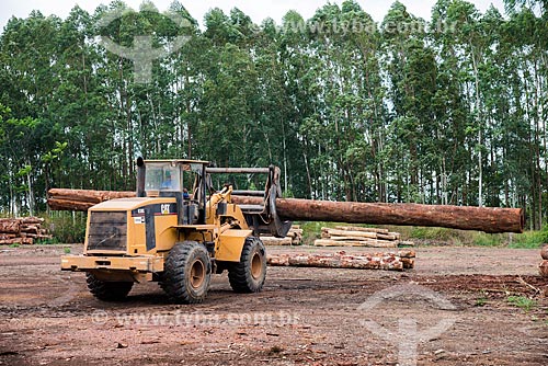  Transporte de troncos no Centro de Manejo Florestal Roberto Bauch  - Paragominas - Pará (PA) - Brasil