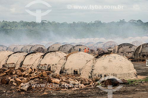 Carvoaria produzindo carvão para siderurgia com sobras de madeira de manejo florestal  - Paragominas - Pará (PA) - Brasil