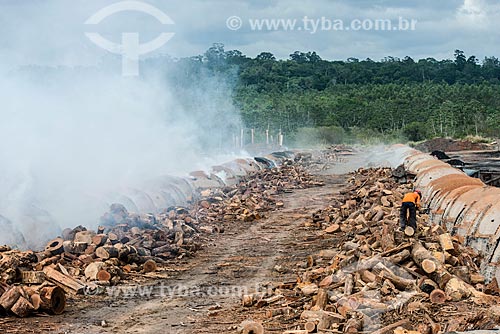  Carvoaria produzindo carvão para siderurgia com sobras de madeira de manejo florestal  - Paragominas - Pará (PA) - Brasil