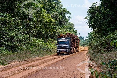  Transporte de troncos de madeira  - Paragominas - Pará (PA) - Brasil