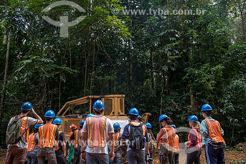  Técnicos do Instituto Floresta Tropical (IFT) fazendo curso de manejo florestal  - Paragominas - Pará (PA) - Brasil