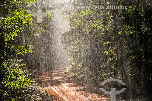  Chuva na floresta amazônica  - Paragominas - Pará (PA) - Brasil