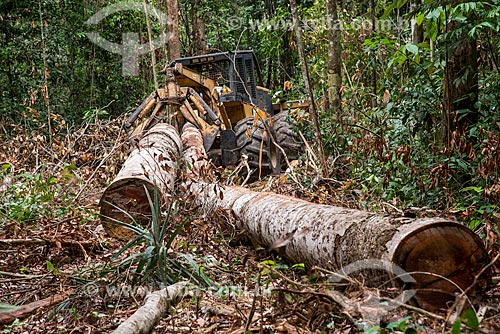  Skidder carregando troncos de madeira  - Paragominas - Pará (PA) - Brasil