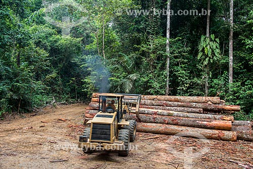  Skidder carregando troncos de madeira  - Paragominas - Pará (PA) - Brasil