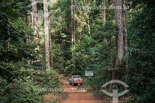  Técnico do Instituto Floresta Tropical (IFT) próximo à árvores reflorestadas  - Paragominas - Pará (PA) - Brasil