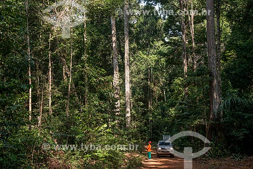  Técnico do Instituto Floresta Tropical (IFT) próximo à árvores reflorestadas  - Paragominas - Pará (PA) - Brasil