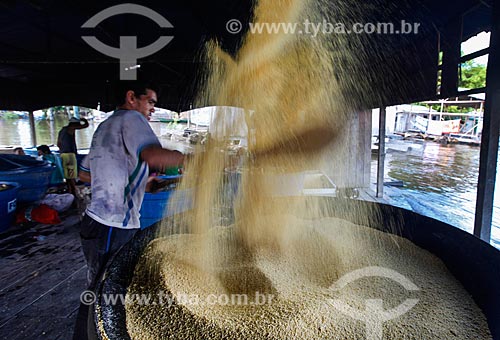  Homens trabalhando na produção de Farinha de mandioca  - Anamã - Amazonas (AM) - Brasil