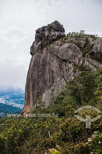  Trilha para o Morro da Cruz - Parque Nacional da Serra dos Órgãos  - Teresópolis - Rio de Janeiro (RJ) - Brasil