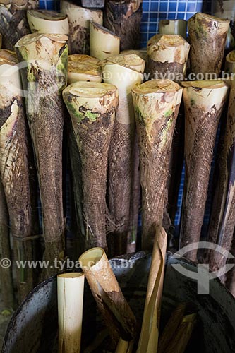 Palmito da guariroba (Syagrus oleracea) à venda no Mercado Municipal Carlos de Pina  - Anápolis - Goiás (GO) - Brasil