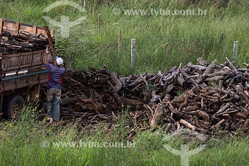 Homem carregamento caminhão com madeira para fazer carvão  - Anápolis - Goiás (GO) - Brasil