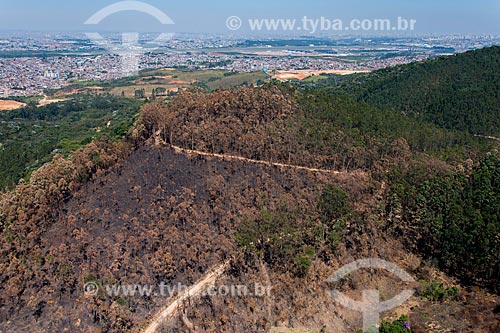  Foto aérea de vegetação queimada na Serra da Cantareira  - Guarulhos - São Paulo (SP) - Brasil