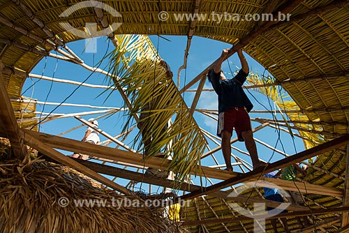  Homens construindo telhado de quiosque com a palha da curuá-pixuna (Orbignya Pixuna)  - Santarém - Pará (PA) - Brasil