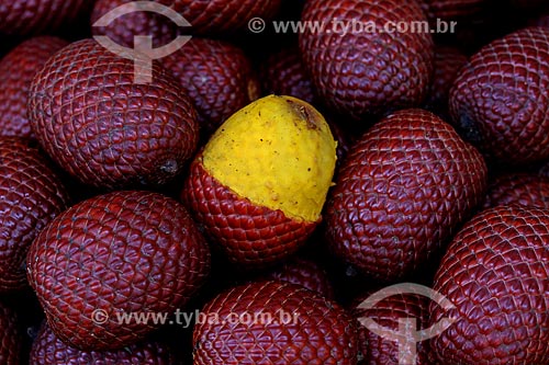  Fruto do buriti  - Manaus - Amazonas (AM) - Brasil