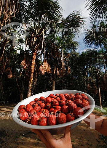  Fruto do buriti  - Manaus - Amazonas (AM) - Brasil