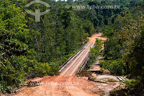 Ponte de madeira na Floresta Nacional do Tapajós  - Belterra - Pará (PA) - Brasil