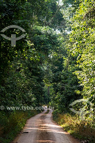  Estrada de Terra na Floresta Nacional do Tapajós  - Belterra - Pará (PA) - Brasil