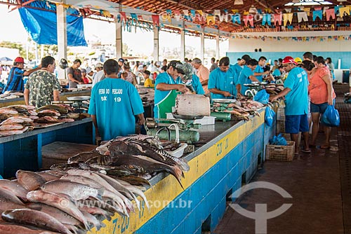  Peixes à venda no Mercado de Peixes da cidade de Santarém  - Santarém - Pará (PA) - Brasil