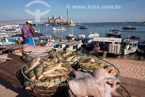  Cesta de peixes chegando ao Mercado de Peixes da cidade de Santarém com o Terminal Graneleiro da Cargill ao fundo  - Santarém - Pará (PA) - Brasil