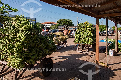  Homens carregando bananas em feira livre às margens do Rio Tapajós  - Santarém - Pará (PA) - Brasil
