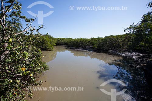  Manguezal na Reserva Biológica Estadual de Guaratiba  - Rio de Janeiro - Rio de Janeiro (RJ) - Brasil
