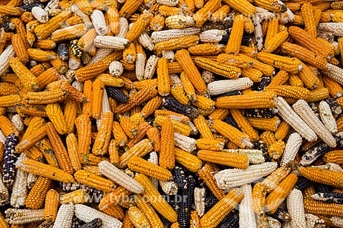  Diversas variações de milho  - República de Guatemala