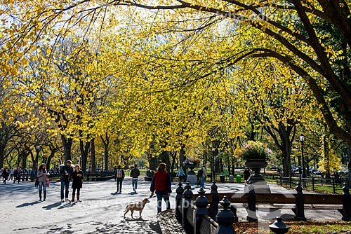 Pessoas no Central Park  - Cidade de Nova Iorque - Nova Iorque - Estados Unidos