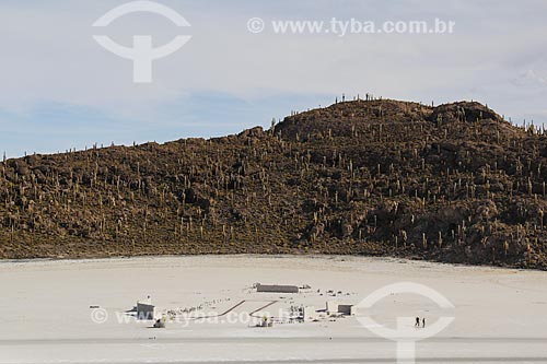  Isla Pescado (Ilha do Pescado) - também conhecida como Isla Incahuasi - no Salar de Uyuni  - Uyuni - Departamento Potosí - Bolívia