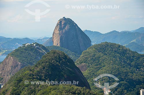  Vista do Parque Estadual da Chacrinha a partir do Morro dos Cabritos com o Pão de Açúcar ao fundo  - Rio de Janeiro - Rio de Janeiro (RJ) - Brasil