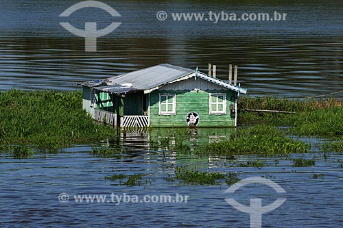  Casa de Comunidade Ribeirinha às margens do Rio Amazonas durante a época de cheia  - Careiro da Várzea - Amazonas (AM) - Brasil
