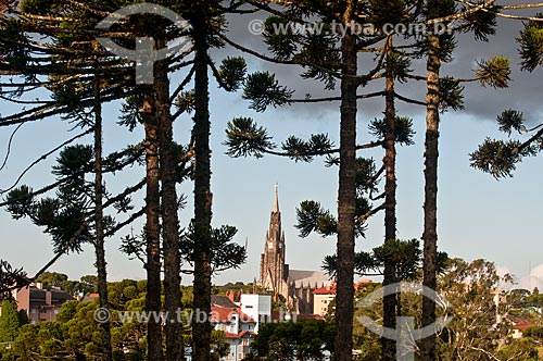  Vista da Paróquia de Nossa Senhora de Lourdes - também conhecida como Catedral de Pedra - entre as araucárias (Araucaria angustifolia)  - Canela - Rio Grande do Sul (RS) - Brasil