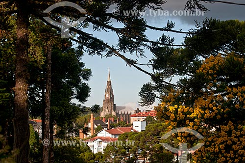  Vista da Paróquia de Nossa Senhora de Lourdes - também conhecida como Catedral de Pedra - entre as araucárias (Araucaria angustifolia)  - Canela - Rio Grande do Sul (RS) - Brasil