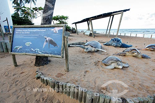  Modelos de tartarugas no Projeto TAMAR  - Mata de São João - Bahia (BA) - Brasil