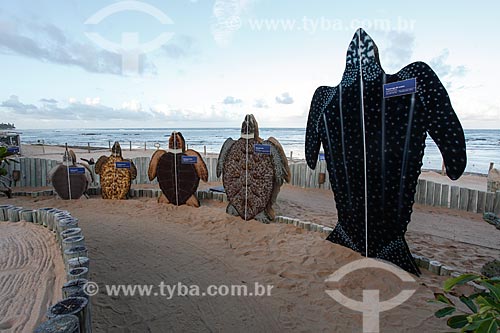 Modelos de tartarugas no Projeto TAMAR  - Mata de São João - Bahia (BA) - Brasil