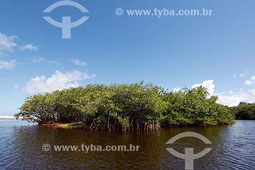  Área de manguezal no Rio Timeantube  - Mata de São João - Bahia (BA) - Brasil