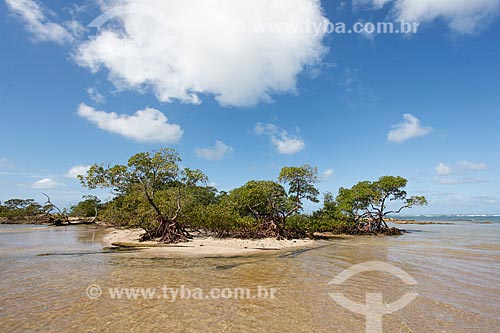  Vegetação na orla da 4ª Praia  - Cairu - Bahia (BA) - Brasil