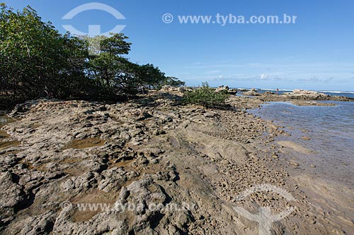  Vegetação na orla da 4ª Praia  - Cairu - Bahia (BA) - Brasil