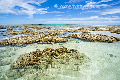 Piscinas naturais formadas nos recifes durante a maré baixa  - Japaratinga - Alagoas (AL) - Brasil