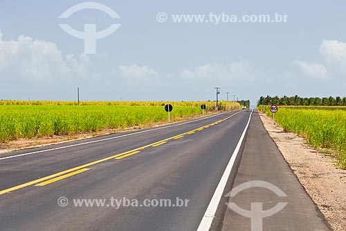  Rodovia AL-101 (Rodovia Governador Divaldo Suruagy) cortando plantação de cana de açúcar  - Coruripe - Alagoas (AL) - Brasil