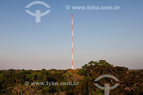  Torre Atto (Amazon Tall Tower Observatory) - Projeto do INPA (Instituto Nacional de Pesquisas da Amazônia) em conjunto com o Instituto Max Planck, da Alemanha, e será usada para observar mudanças climáticas na região  - São Sebastião do Uatumã - Amazonas (AM) - Brasil