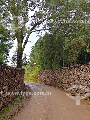  Estrada de terra com tronco de árvores empilhadas nas margens  - Gramado - Rio Grande do Sul (RS) - Brasil