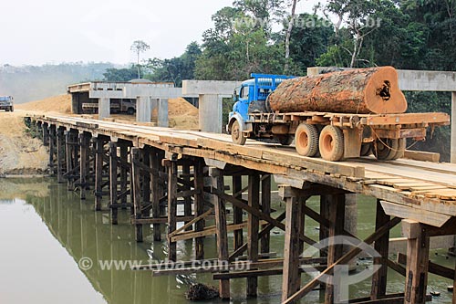  Transporte de madeira ilegal - tronco de faveiro-ferro (Dinizia excelsa Ducke)  - Machadinho do Oeste - Rondônia (RO) - Brasil
